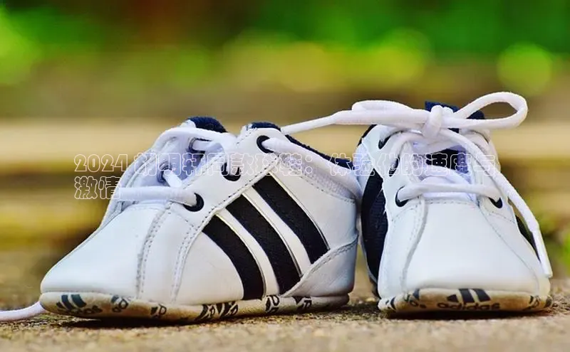 意昂意昂体育云创智行2024 胡明轩同款球鞋：体验他的速度与
激情