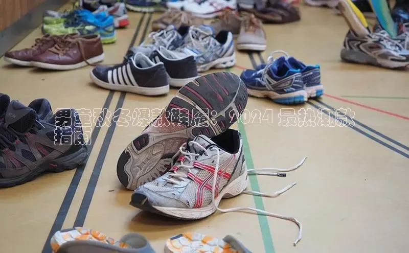 意昂体育官网注册百度大脑男童秋冬爆款鞋履：2024 最热潮款
指南