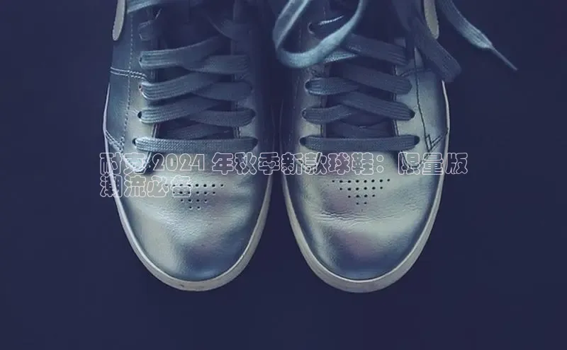 意昂意昂体育入口百度学术耐克 2024 年秋季新款球鞋：限量版
潮流必备