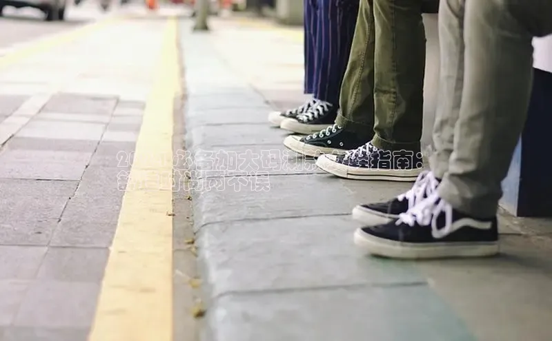 意昂体育2024 必备加大码潮款女鞋指南：
舒适时尚两不误