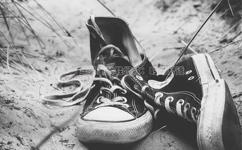 意昂体育官网注册百度大脑**2024 年男童秋鞋爆款：时尚舒适，
引领潮流**