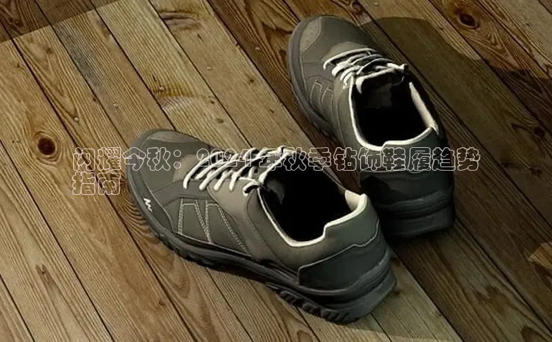 意昂体育3娱乐用176五八27从极氪智能科技闪耀今秋：2024 年秋季钻饰鞋履趋势
指南