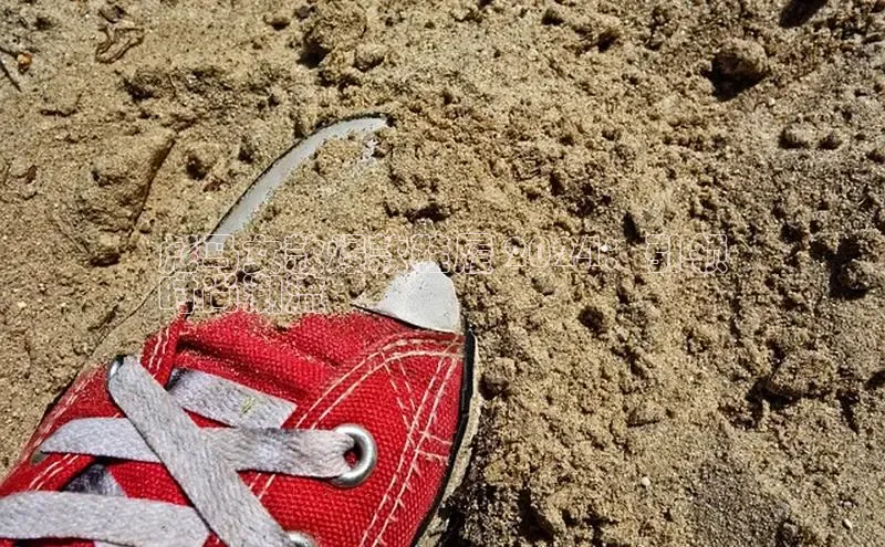 意昂体育p网页版登录入口百度游戏彪马女款爆款鞋履 2024：引领
时尚潮流