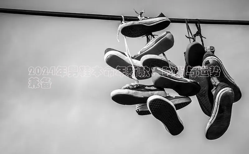 意昂体育招商百度智能云2024年男鞋本命年新款：时尚与运势
兼备