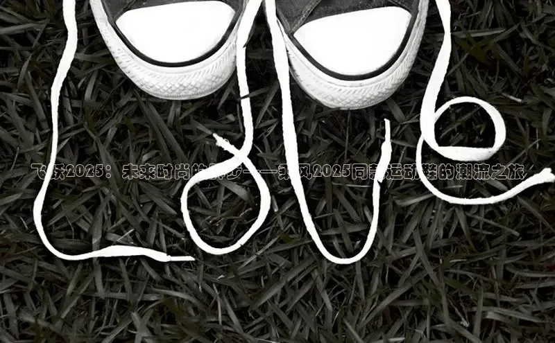 意昂体育度社团赞助平台飞跃2025：未来时尚的脚步——乘风2025同款运动鞋的潮流之旅