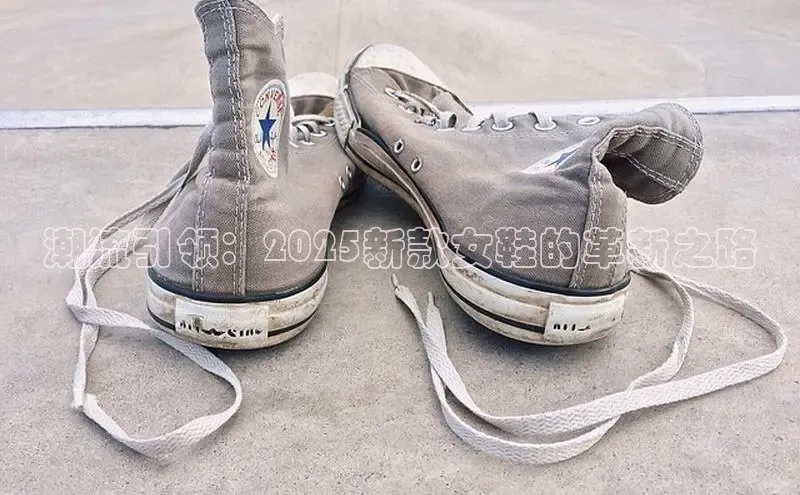 意昂体育3娱乐用176五八27从极氪智能科技潮流引领：2025新款女鞋的革新之路