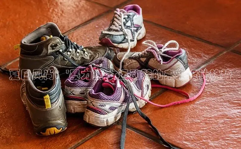 意昂体育台孩176五八27员颐驰 06夏日风尚：\'暴力熊\'女运动鞋的未来设计趋势