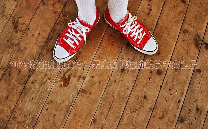 2025新款潮流趋势：男士潮牌运动鞋的未来之星