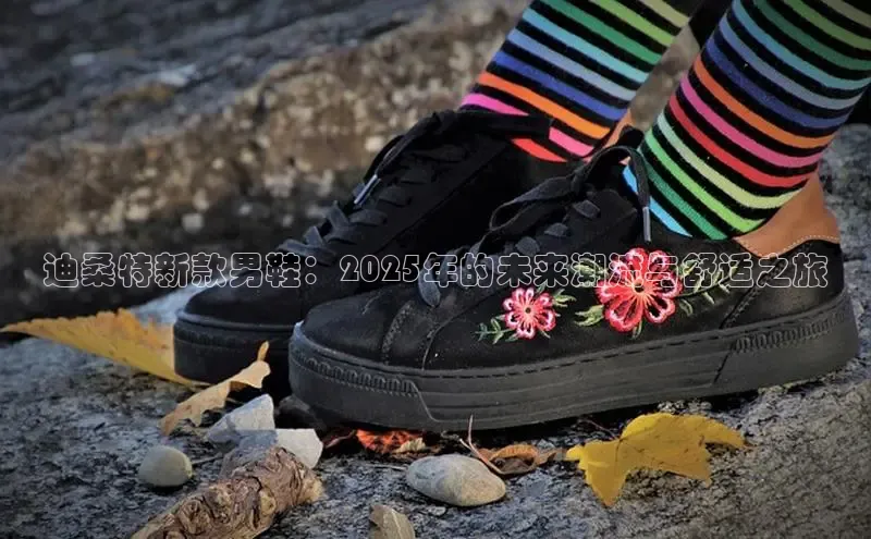 迪桑特新款男鞋：2025年的未来潮流与舒适之旅