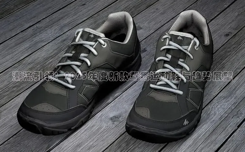 潮流引领：2025年度新款鸳鸯运动鞋与趋势展望