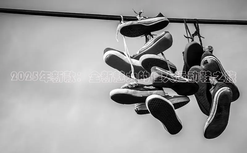 2025年新款：全新魅力的佳人运动鞋之旅