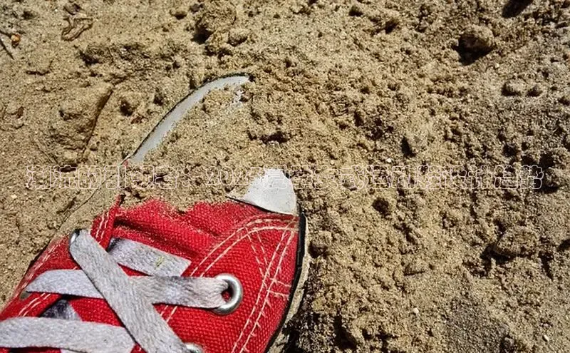 潮流的引领者：2025夏季女式运动鞋设计趋势